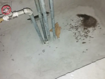 张家口市卫生间测漏水价格明细