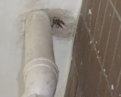 张家口市漏水检测哪家好